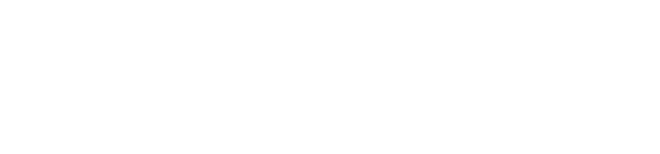 vbliss logo